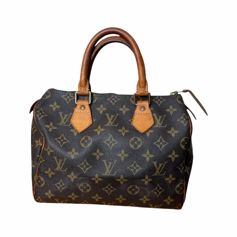 LOUIS VUITTON Speedy 25 Monogram