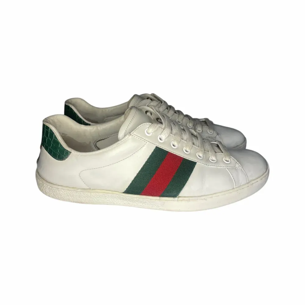 Gucci Ace sneaker med Web