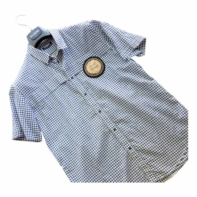 Balmain Gingham Shirt with Lion Embroidery