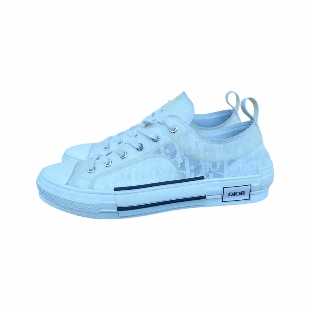 Dior B23 Low Top Oblique