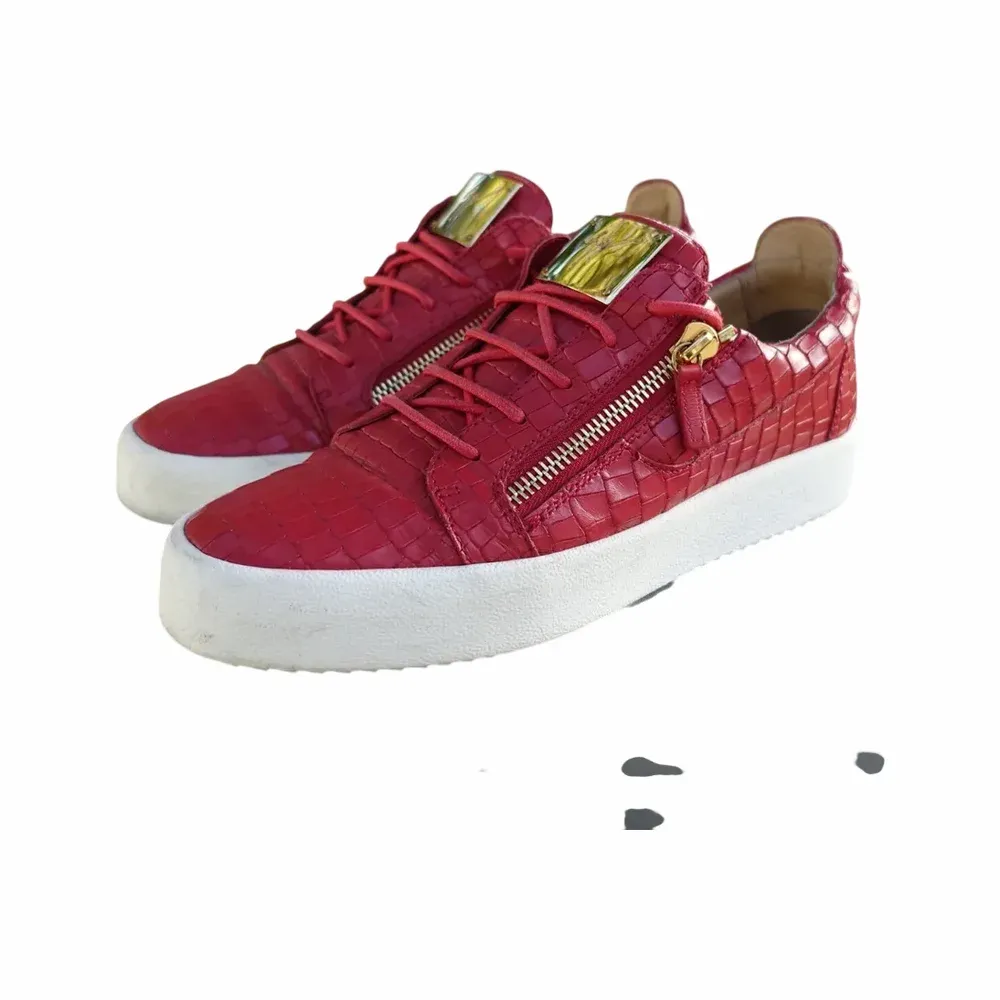 Giuseppe Zanotti Frankie