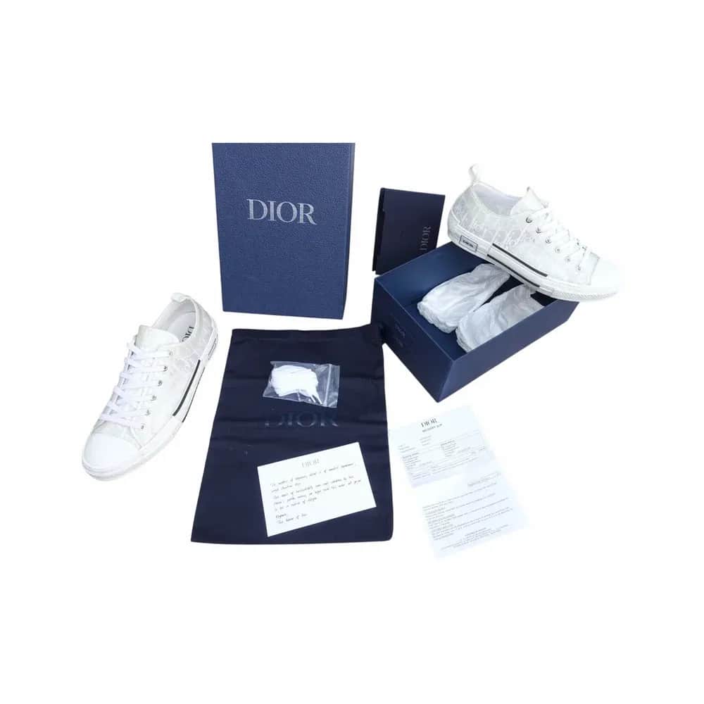 Dior B23 Low Top Oblique