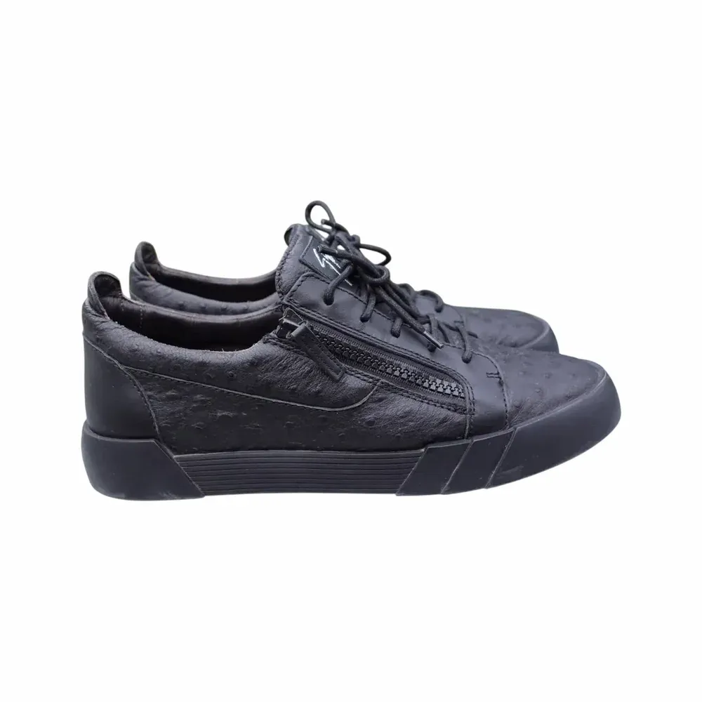 Giuseppe Zanotti Frankie