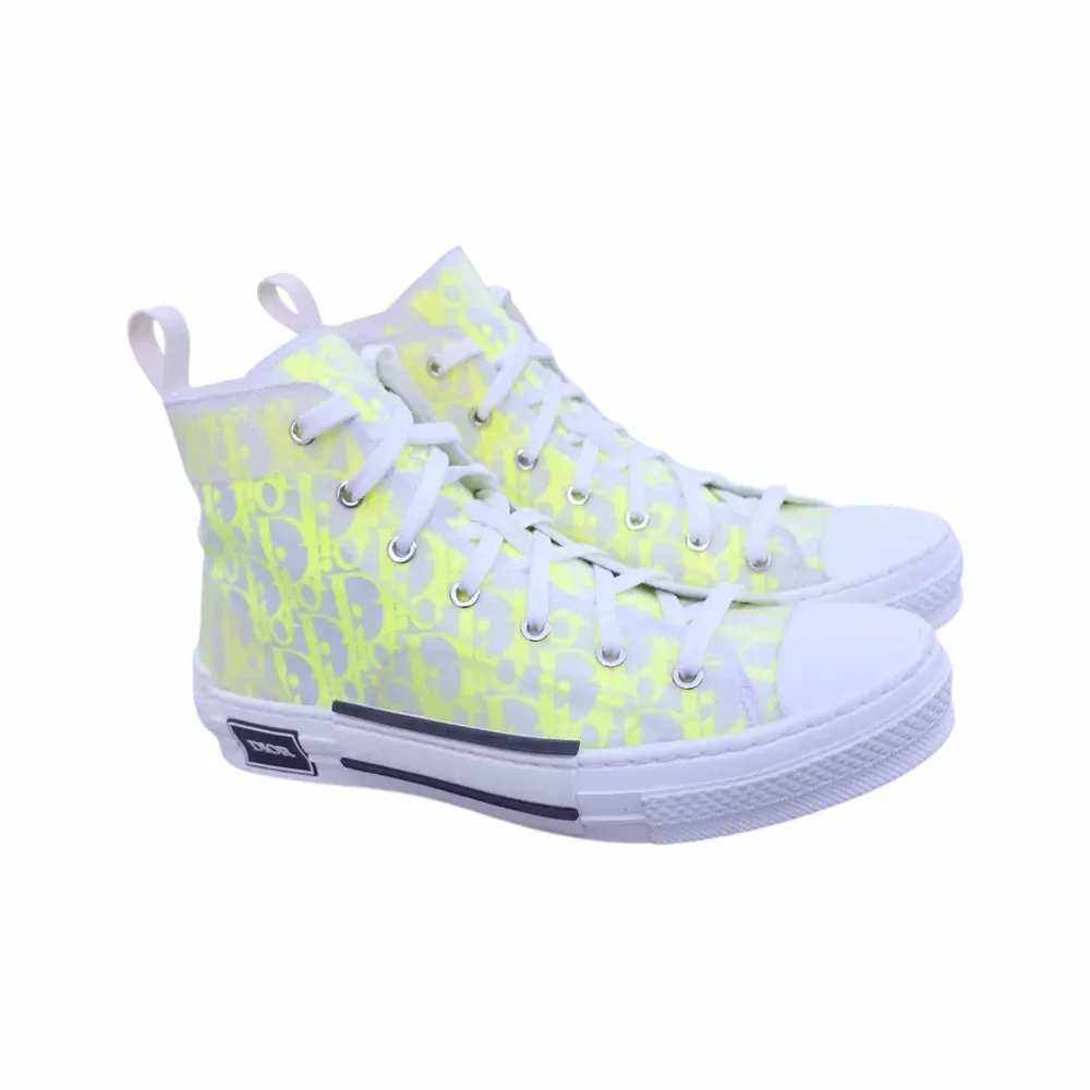 Dior B23 High Top