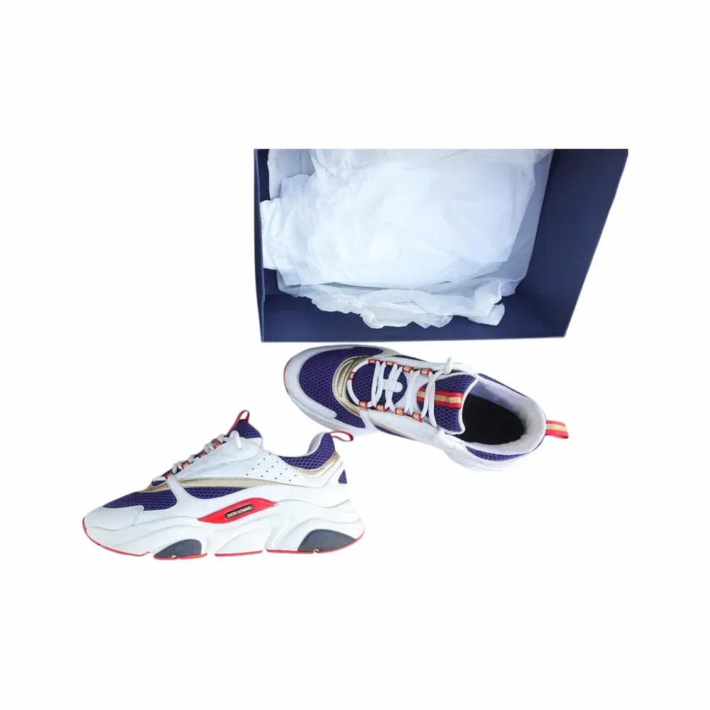 Dior B22