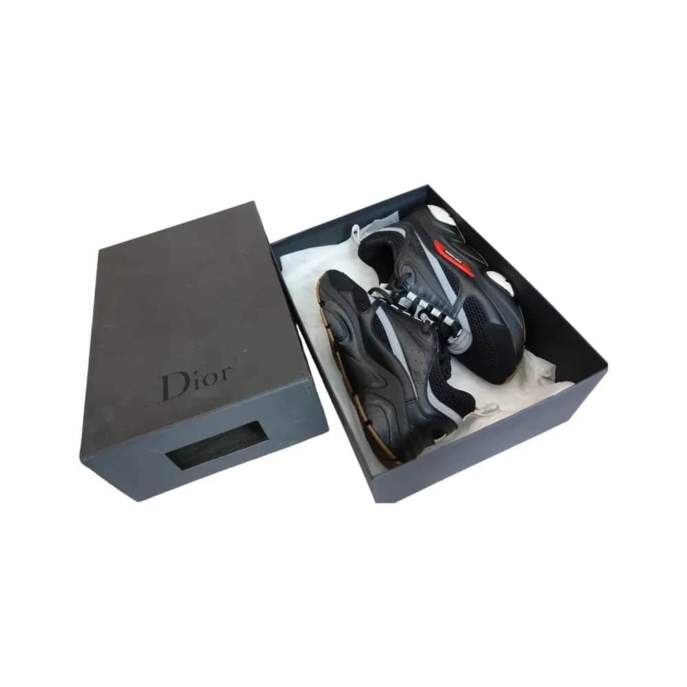Dior B22