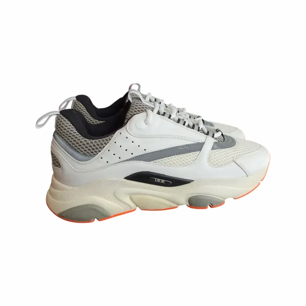 Dior B22