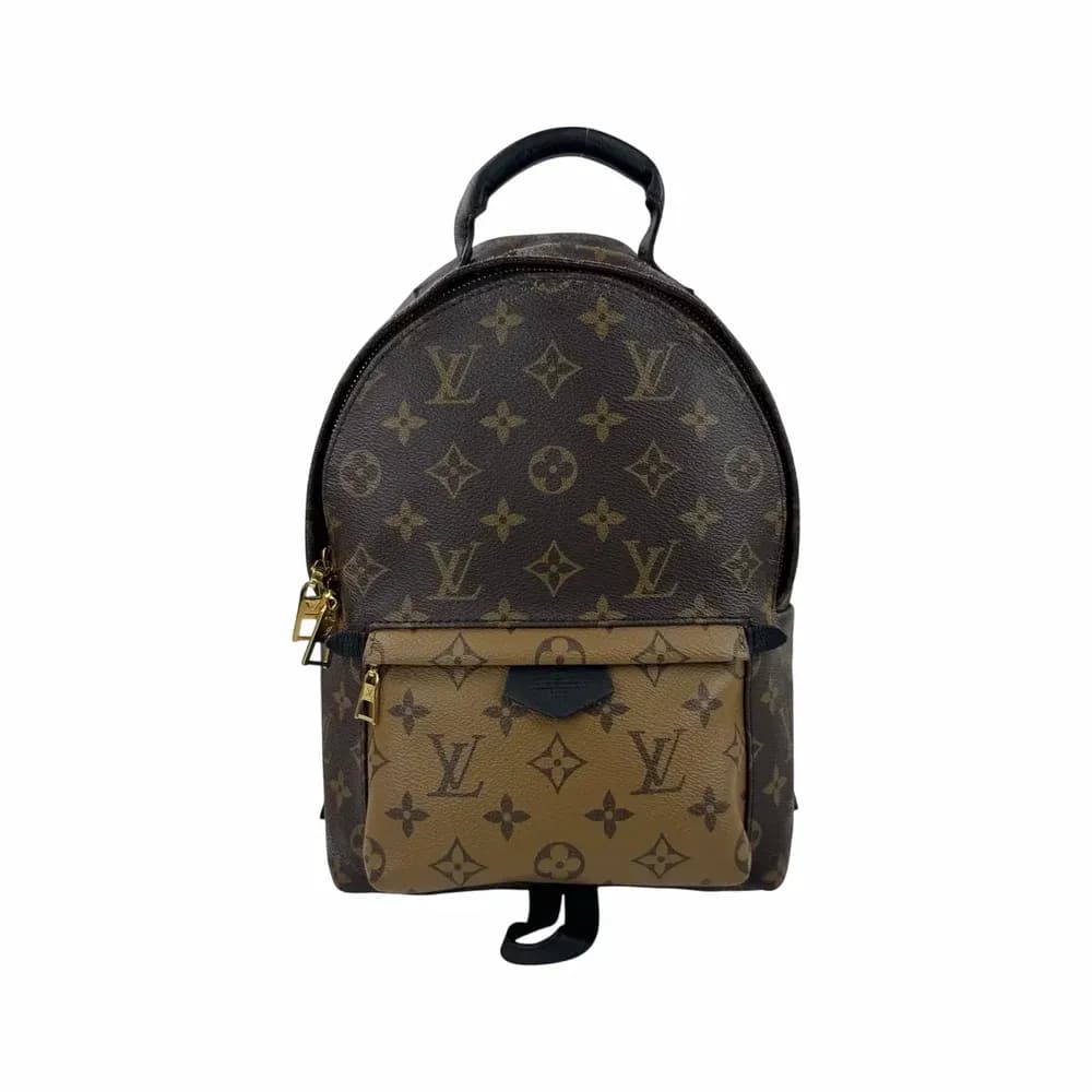 Louis Vuitton Palm Springs PM Backpack
