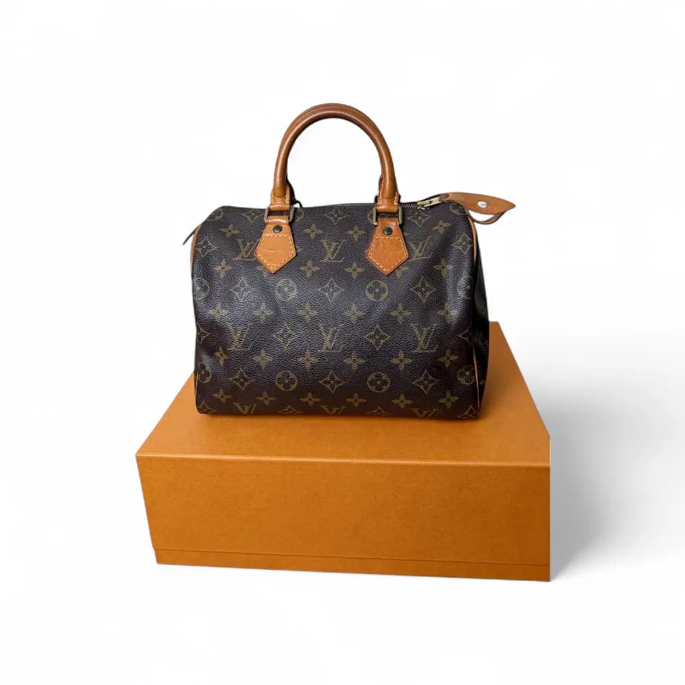 LOUIS VUITTON Speedy 25